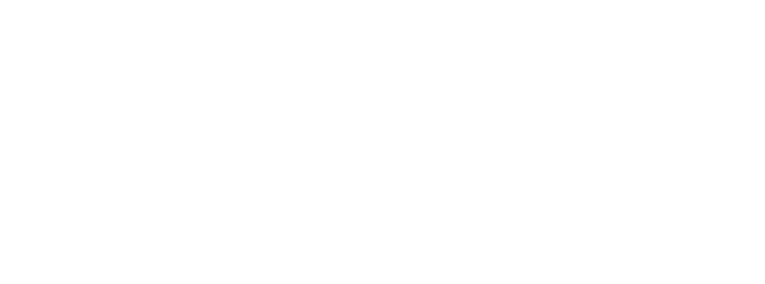 Award Best Execution Speed
